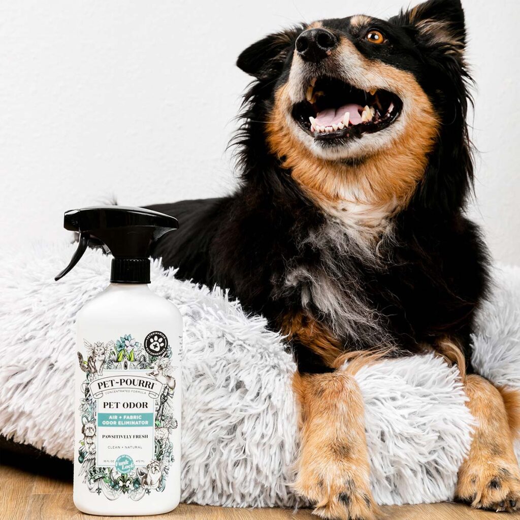 PET-PDP-016-LIFESTYLE Pet Pourri Pawsitively Fresh Spray Lifestyle