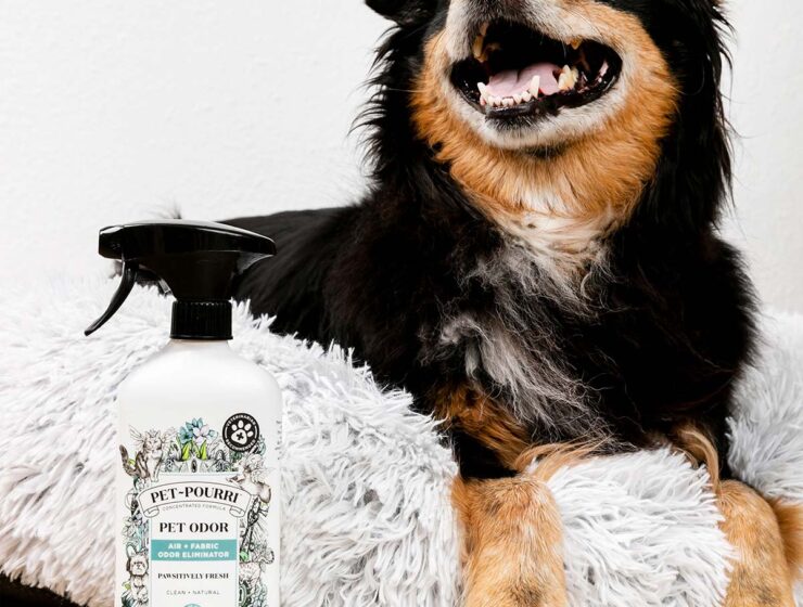 Pet Pourri Pawsitively Fresh Spray Lifestyle