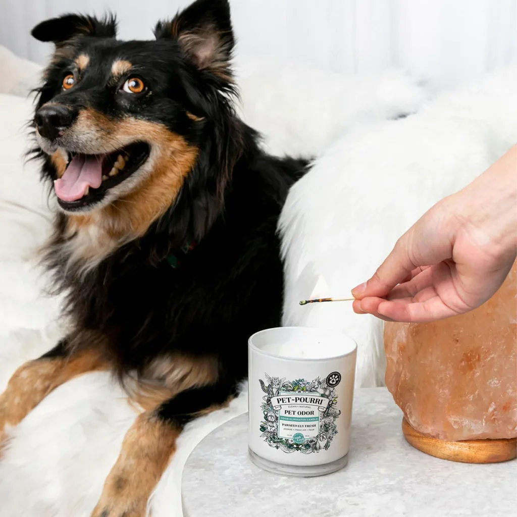 PET-PDP-CAND-LIFESTYLE Pet Pourri Pawsitively Fresh Candle