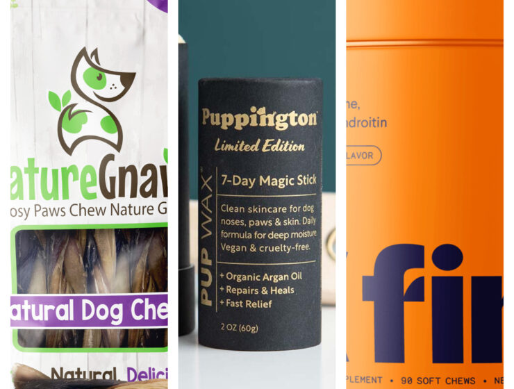 Nature Gnaws Puppington Pup Wax Magic Stick Finn Dog Supplements Hero