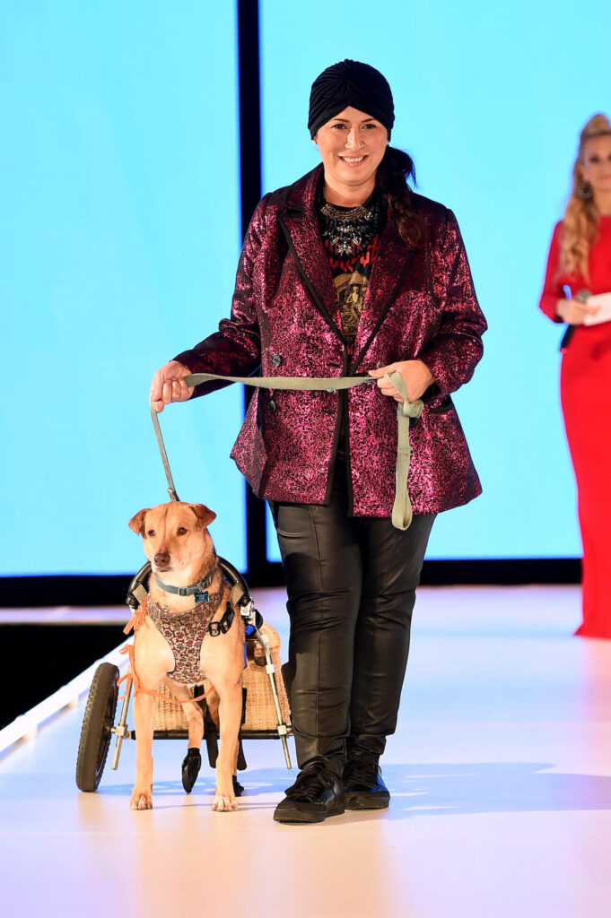 elysianfurbaby-1 Elysian Catwalk Furbaby Bissell Pet Foundation Runway 7 NYFW FW 2023