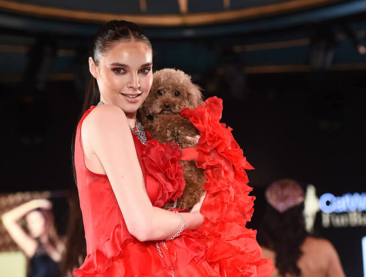 Elysian Catwalk Furbaby Bissell Pet Foundation Runway 7 NYFW FW 2023