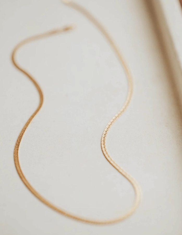 hello-adorn-herra-chain-1 Hello Adorn Herra Chain Gold Necklace Minimal Jewelry
