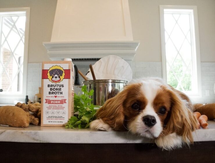 Brutus Bone Broth Pork Broth with Pup model