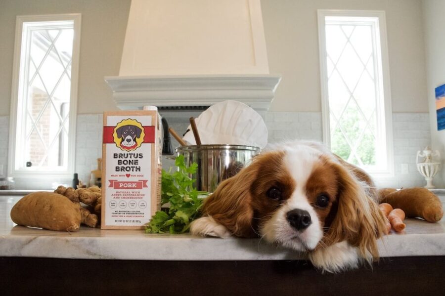 Brutus Bone Broth Pork Broth with Pup model
