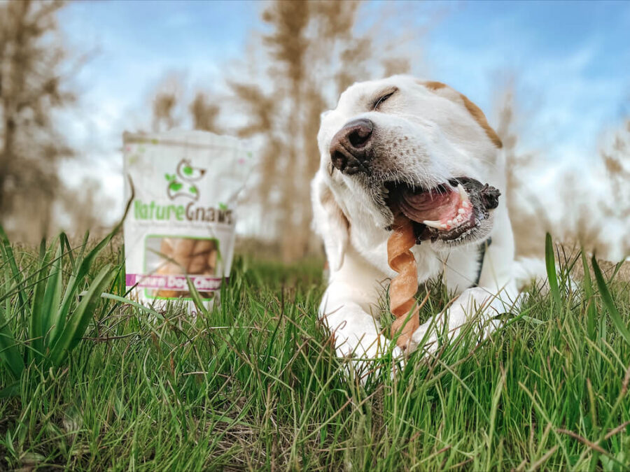 Nature Gnaws all natural spiral dog treats
