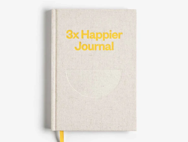 Intelligent Change 3X Happier Journal