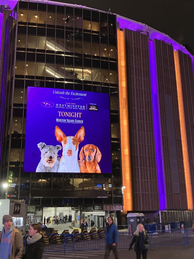 Madison Square Garden