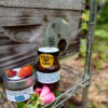 A Spoonful of Honey Can *Potentially* Keep the Doctor Away: Medicinal Uses of Honey