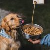 Bone Broth for my Bestie
