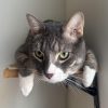 Our Editors & Their Beloved Pets: Meet Oliver
