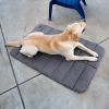 Tested and Approved: The Comfy Ripstop Dog Travel Mat