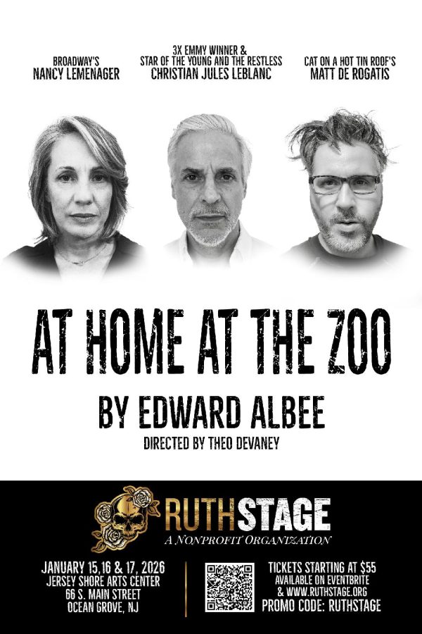 Q&A with Matt de Rogatis