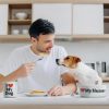 A Clever Pairing: I Love My Dog / I Love My Human Dog Bowl Set