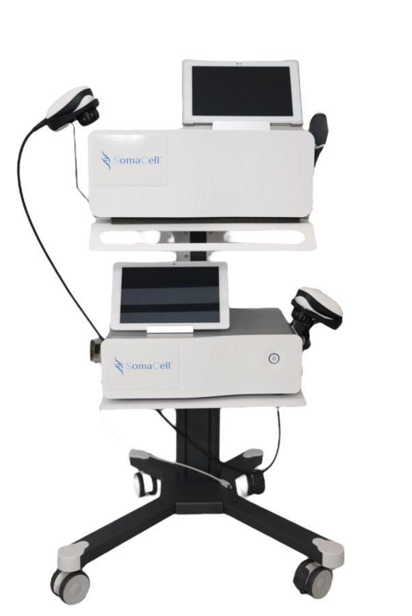 Q&A with Kim Laudati