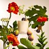 This Apotheke Candle Smells Like the Mediterranean Countryside in Bloom
